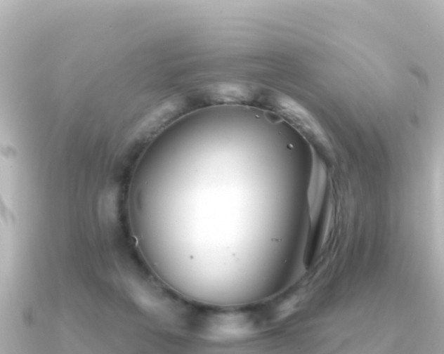 X0000091350217200708101536