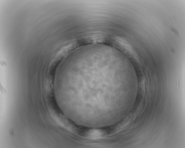 X0000091350218200708101536