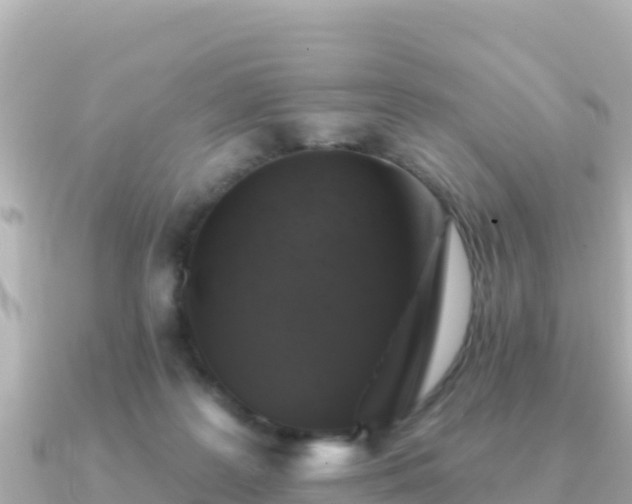 X0000091350219200708101536