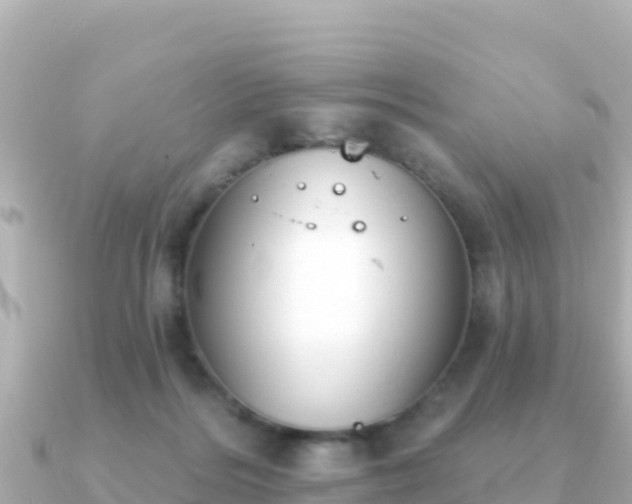 X0000091350220200708101536
