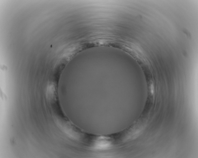 X0000091350222200708101536