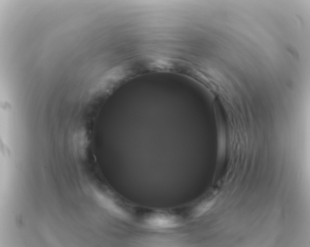 X0000091350223200708101536