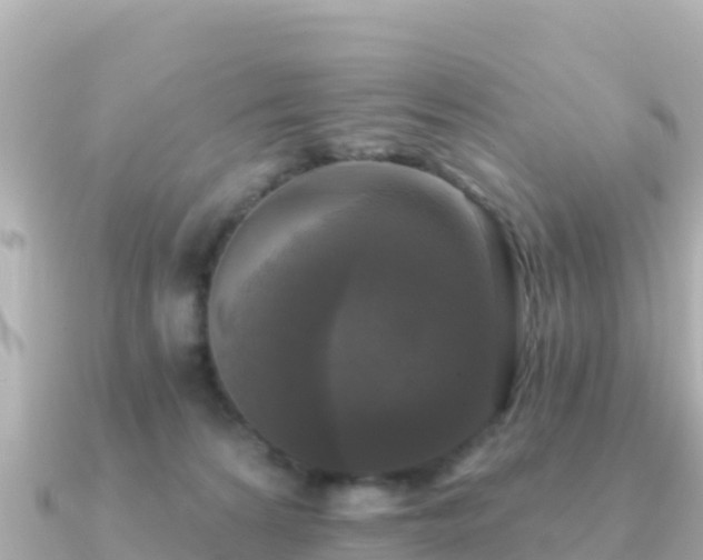X0000091350224200708101536