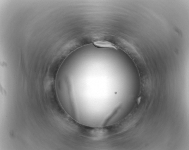 X0000091350225200708101536
