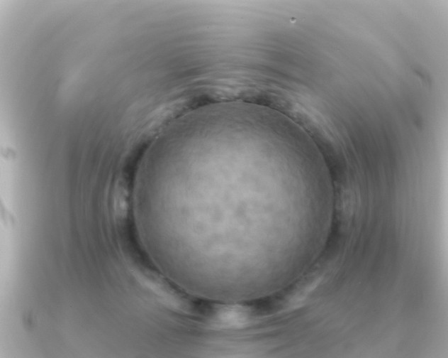 X0000091350226200708101536