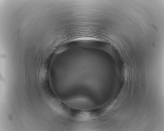 X0000091350227200708101536