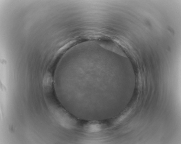 X0000091350228200708101536