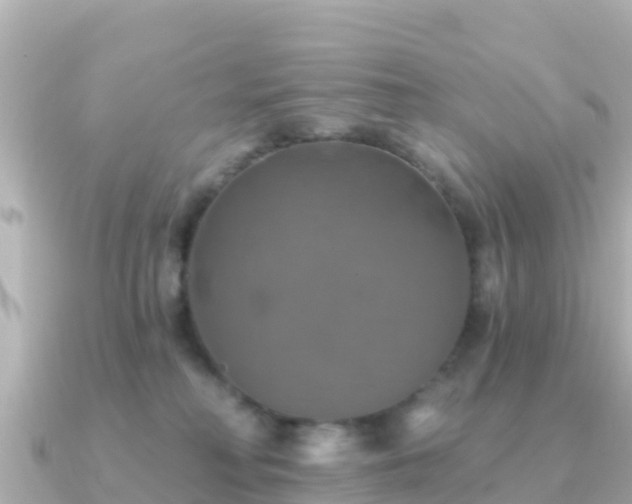 X0000091350230200708101536