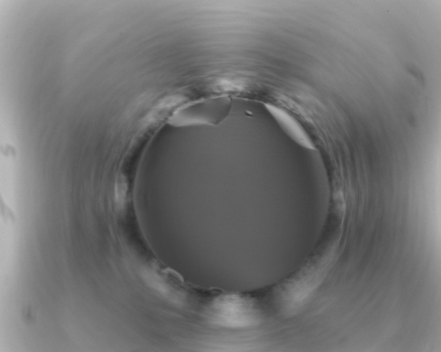 X0000091350231200708101536