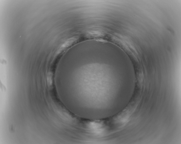 X0000091350232200708101536