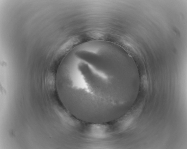 X0000091350234200708101536