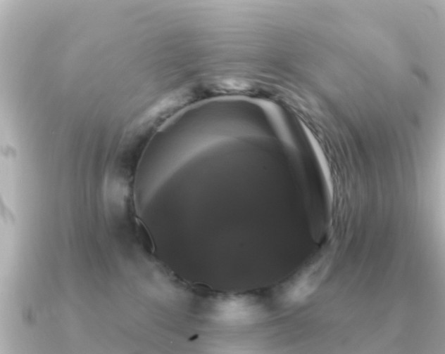 X0000091350235200708101536