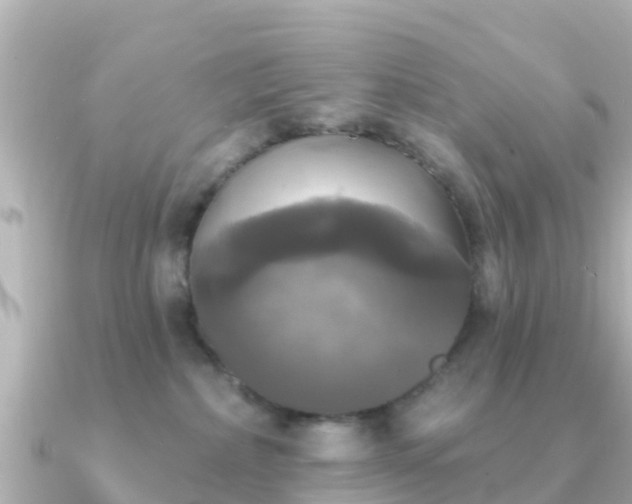 X0000091350236200708101536