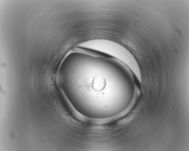 X0000091350237200708101536