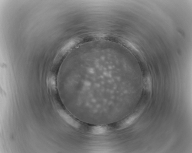 X0000091350238200708101536