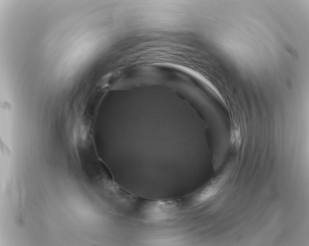 X0000091350239200708101536