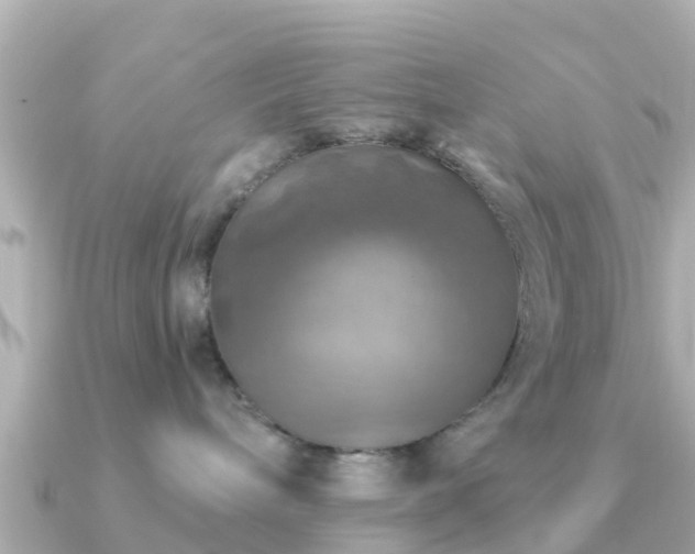 X0000091350240200708101536