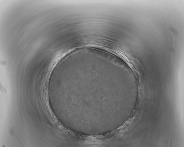 X0000091350241200708101536