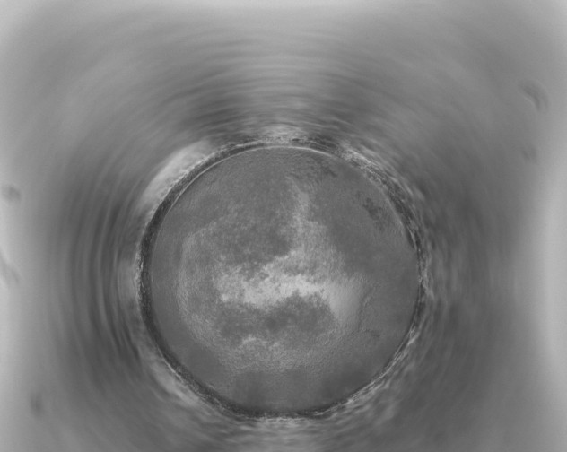 X0000091350242200708101536