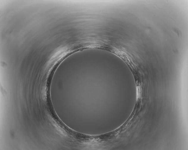 X0000091350243200708101536