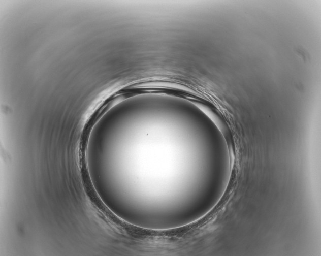 X0000091350244200708101536