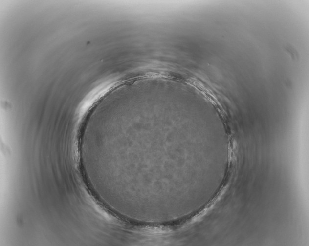 X0000091350245200708101536