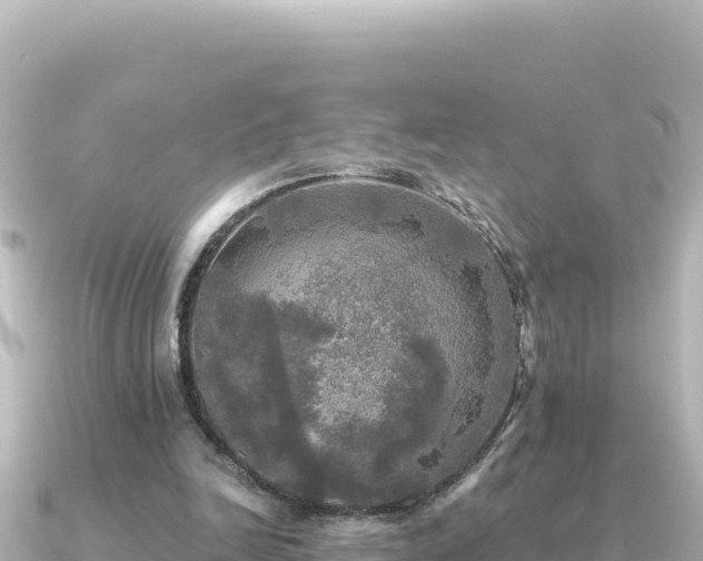 X0000091350246200708101536