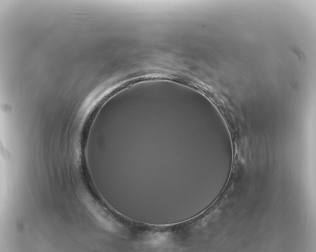 X0000091350247200708101536