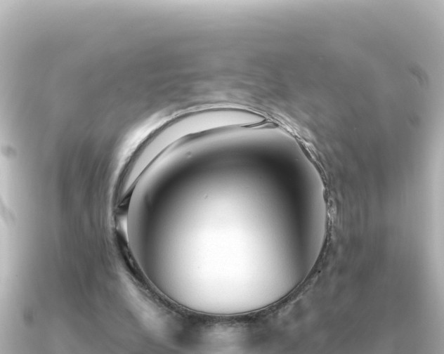 X0000091350248200708101536