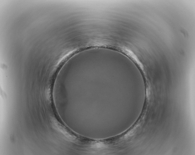 X0000091350249200708101536