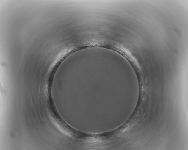 X0000091350250200708101536