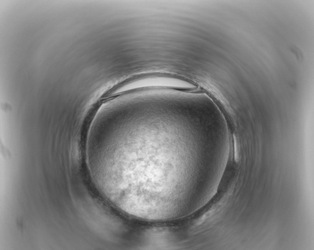 X0000091350252200708101536