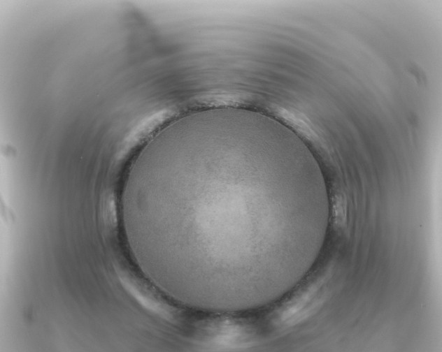 X0000091350254200708101536