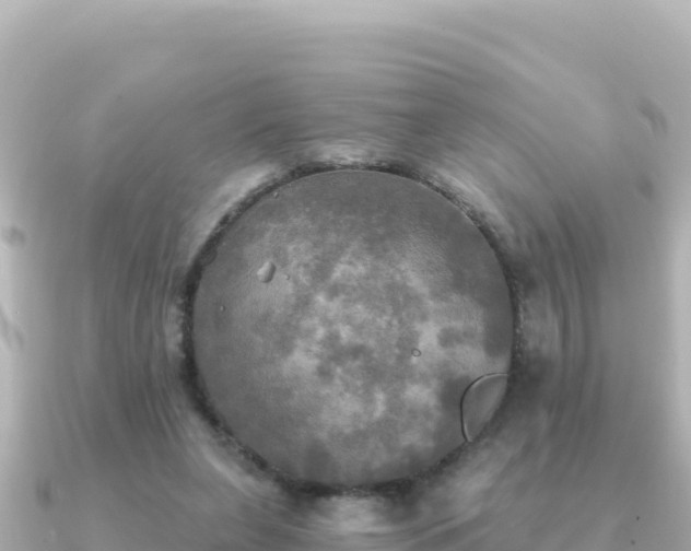 X0000091350255200708101536