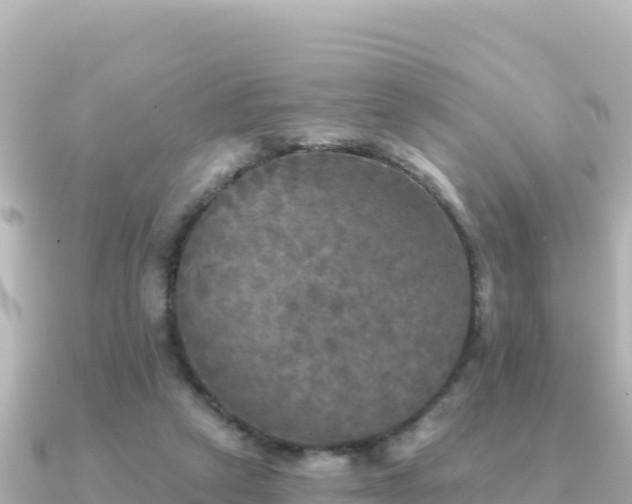 X0000091350257200708101536