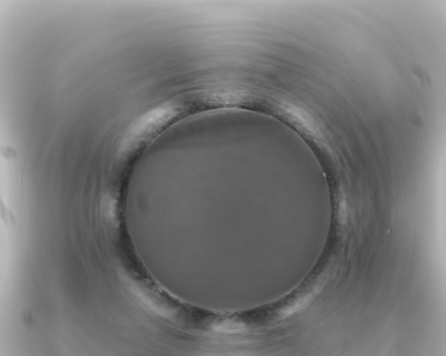 X0000091350258200708101536