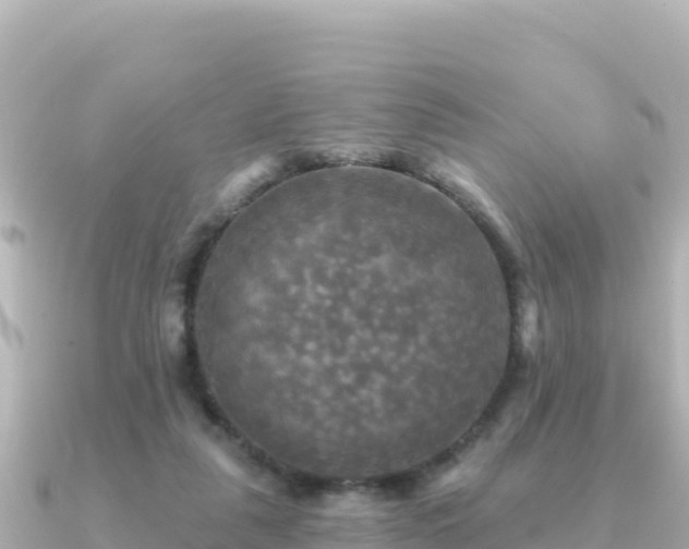 X0000091350259200708101536
