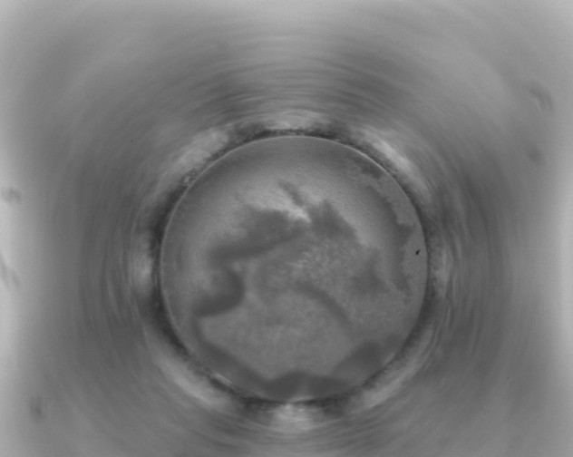 X0000091350261200708101536