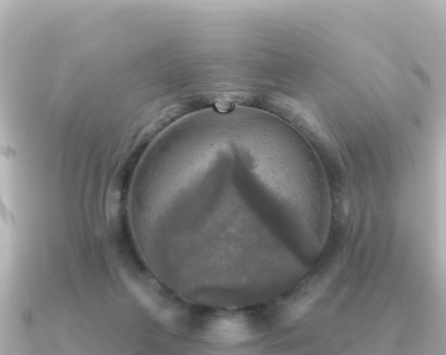 X0000091350263200708101536