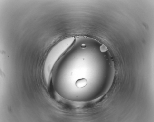 X0000091350264200708101536