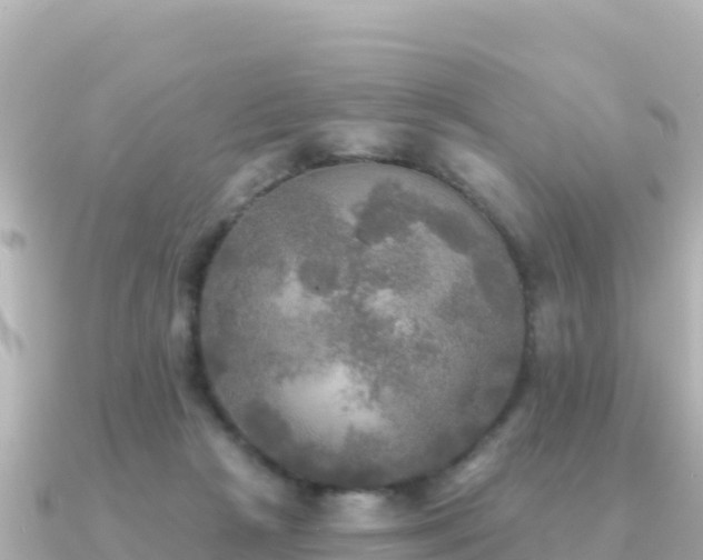 X0000091350265200708101536