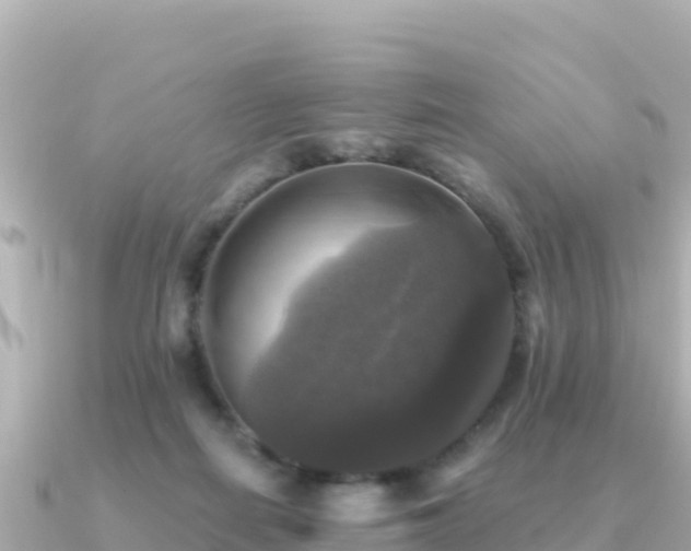 X0000091350266200708101536