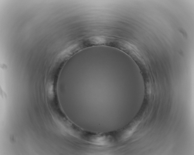 X0000091350267200708101536