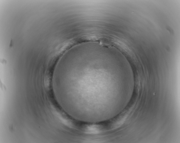 X0000091350268200708101536