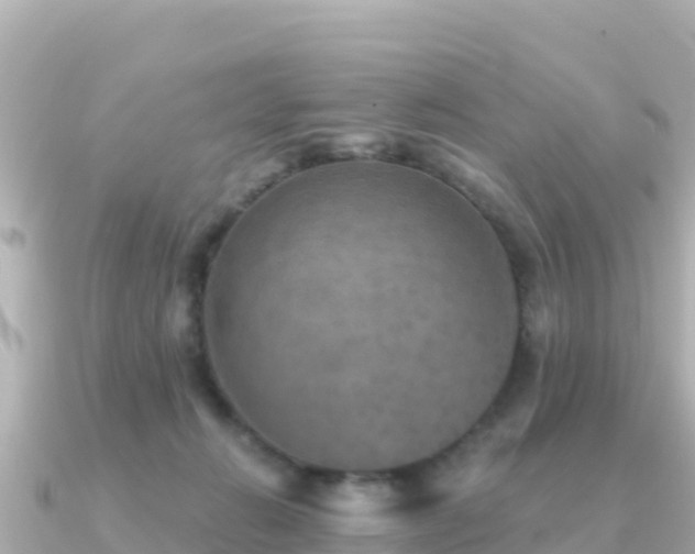 X0000091350270200708101536