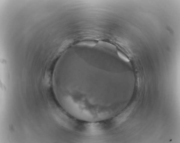 X0000091350273200708101536