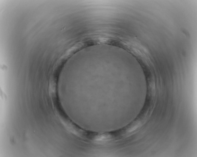 X0000091350274200708101536