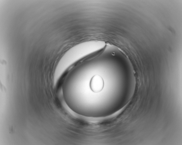 X0000091350276200708101536