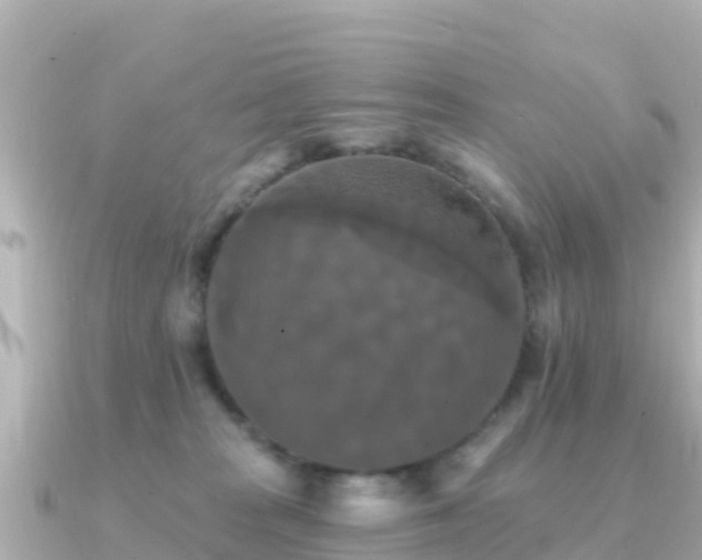 X0000091350277200708101536