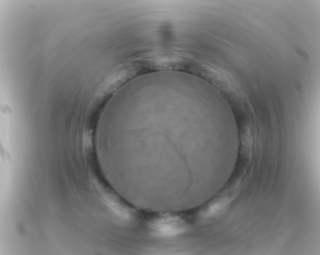 X0000091350278200708101536